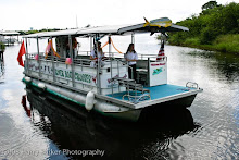 The Mangrove Mamma