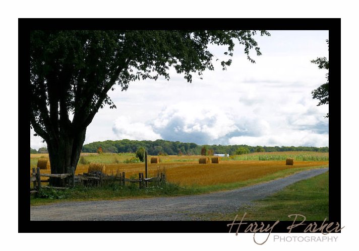 [9+copy.08QuebecShireen-5+copy]