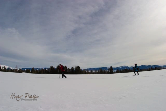 [2.09JHNet-94wtmk.jpg]