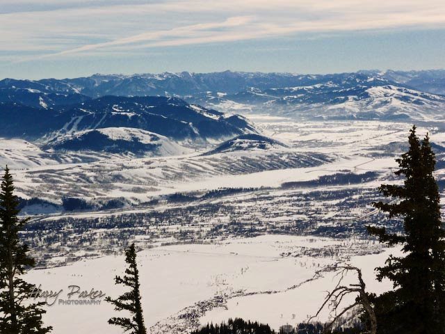 [2.09JHNet-65wtmk.jpg]