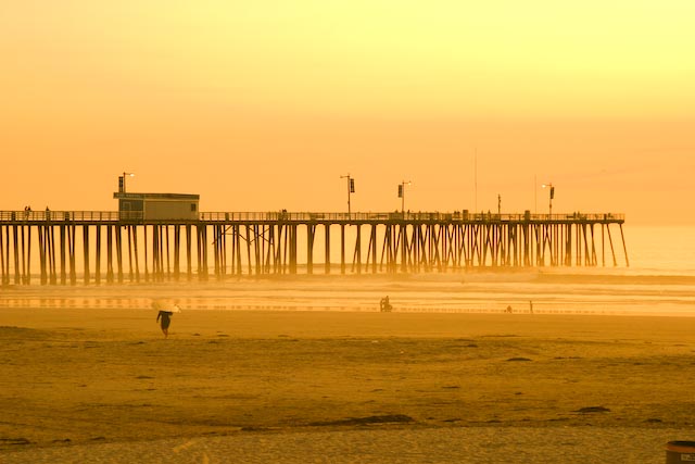 [11.08CaliNet-36.jpg]