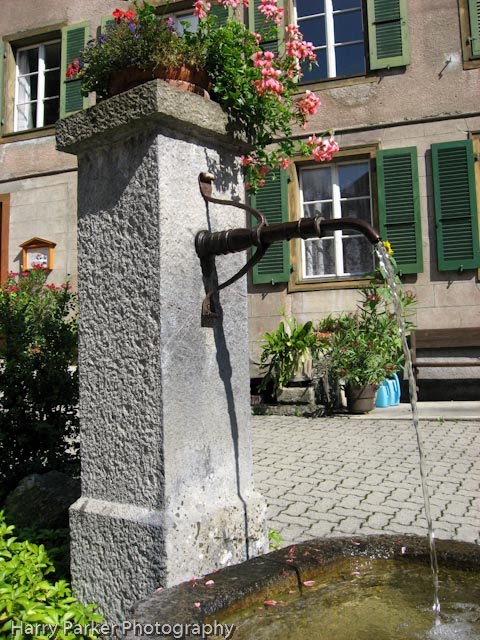 [8.09HPSwitzNet033.jpg]