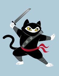 Ninja Cat