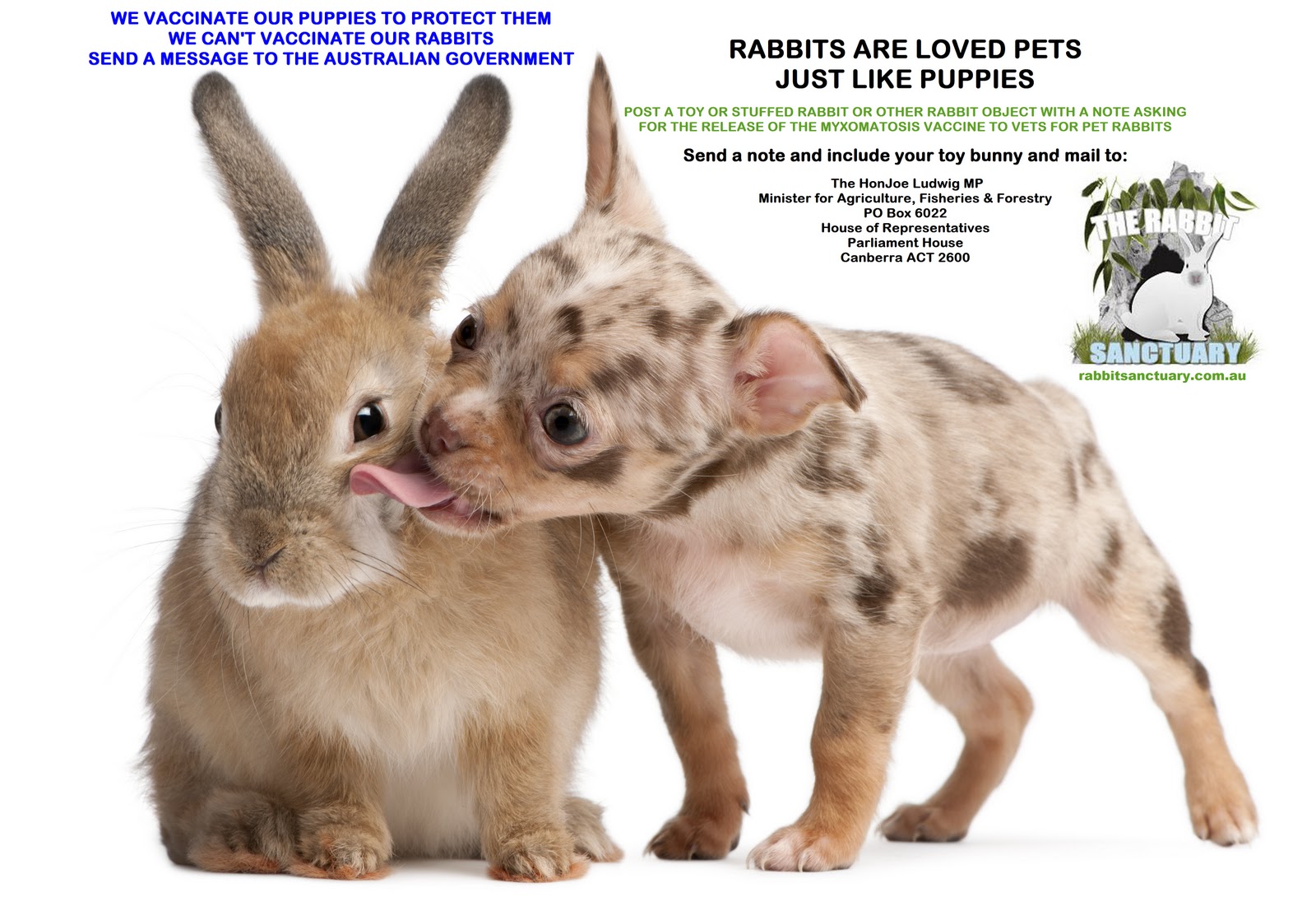 Save Pet Rabbits from Deadly Myxomatosis Virus Send a Toy Rabbit to the
