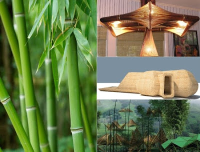 மூங்கிலால் செய்யப்பட்ட நவீனக் கருவிகள் - Page 2 Bamboo-Creativity+%288%29