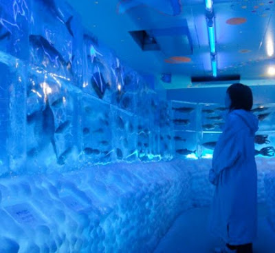 Ice Aquarium in Kesennuma -  Japan