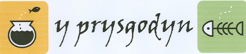 y prysgodyn