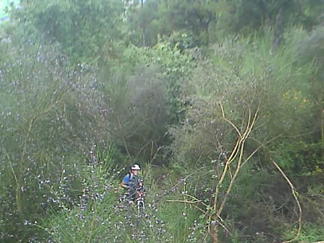 [IMAGE_193.jpg]