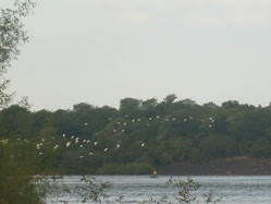 El ultimo vuelo