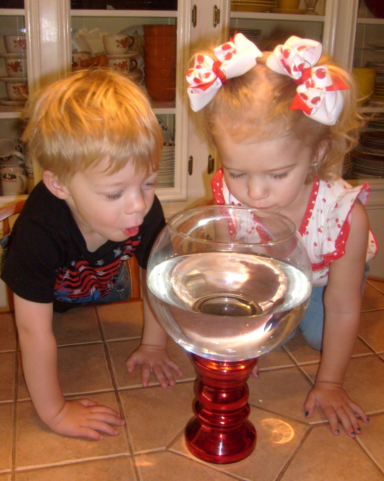 Homemaker: Easy Decor and Fish Bowl