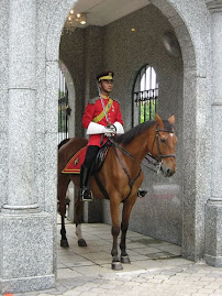 Pengawal Istana Negara