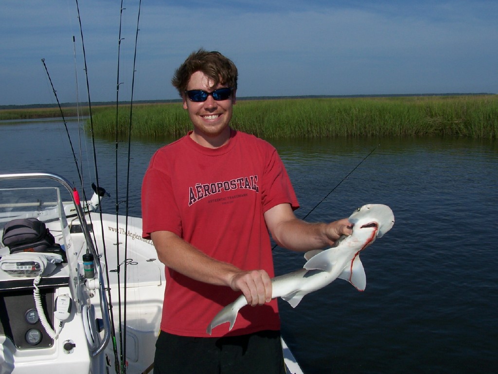 Pat Shark