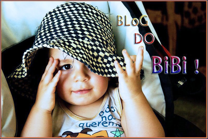 BloG Do BiBi