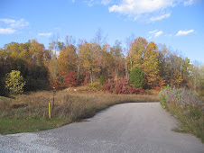 Brown County Indiana