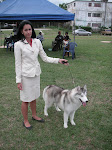 Husky on Display