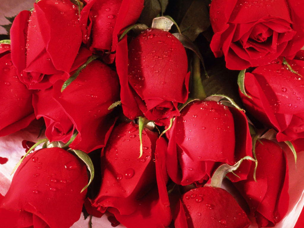 Beautiful Love Wallpapers For Desktop Full Screen Beautiful Love Wallpapers For Desktop Full Screen