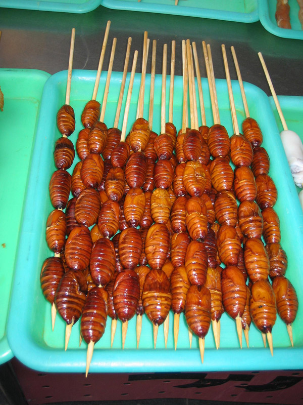 7.+Silkworm+kabobs Worlds Most Strangest Food Images Pictures Seen on www.VyperLook.com