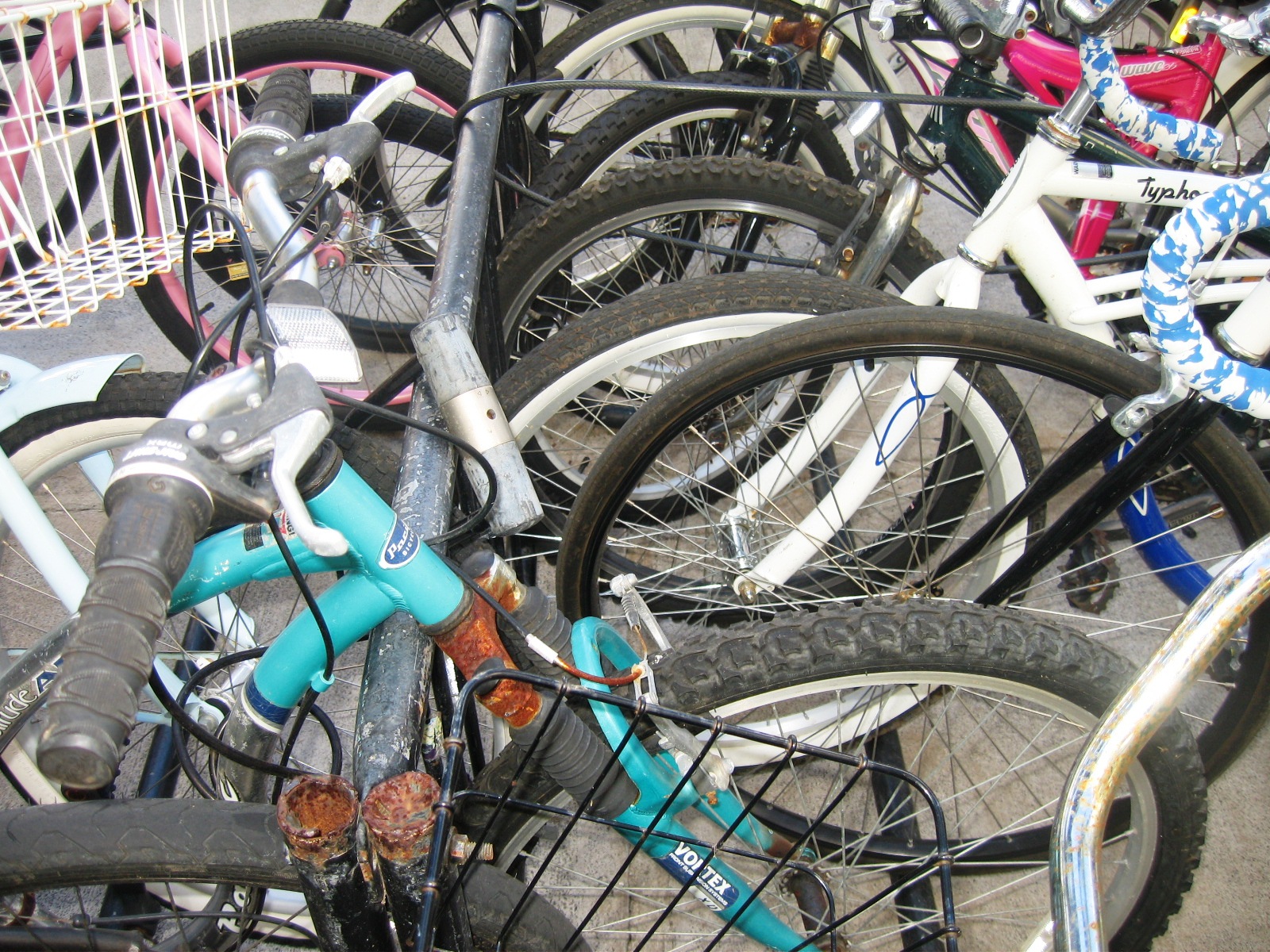 Slip with Snak BICYCLES