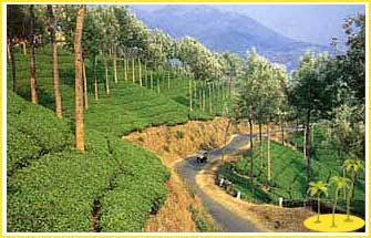 Munnar