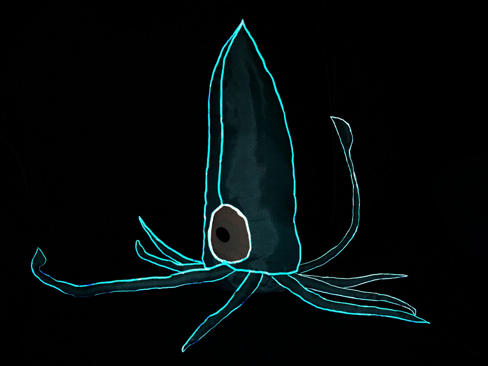 http://4.bp.blogspot.com/_-9Y6oiCGCks/TTJs_YJ8ALI/AAAAAAAAAfA/EfLd5_2ngmM/s1600/squid_light0.jpg