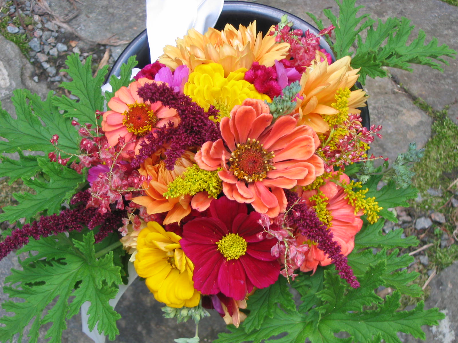 Notes and News from Shady Grove Gardens September Flower Combinations local flowers only