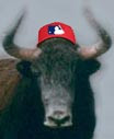 'The baseball yak'