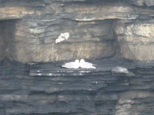 [IMG_1485.JPG]