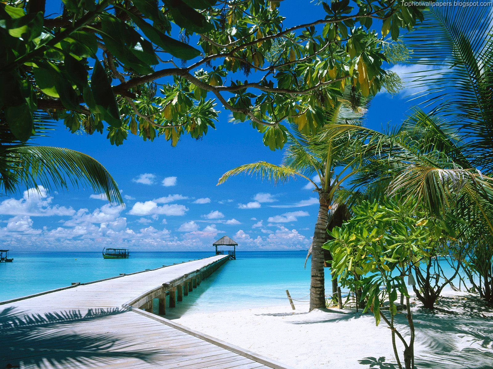 http://4.bp.blogspot.com/_-Cb_iV_LnpU/SDgVuyiOurI/AAAAAAAADII/1PHSLIcp0zY/s1600/Ari%2BAtoll,%2BMaldives.jpg