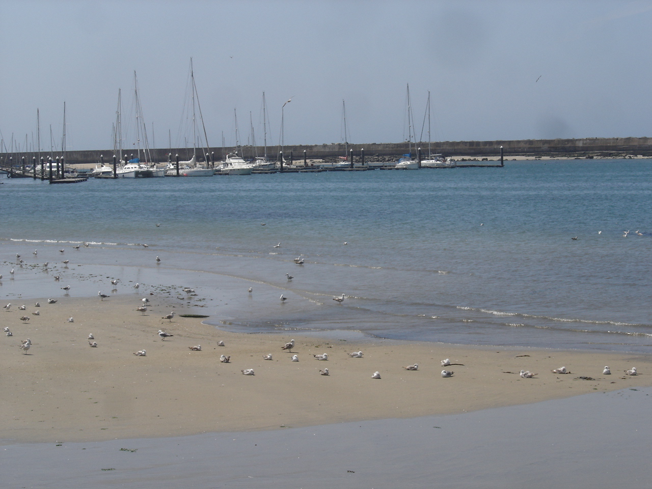 [DSC08760.JPG]