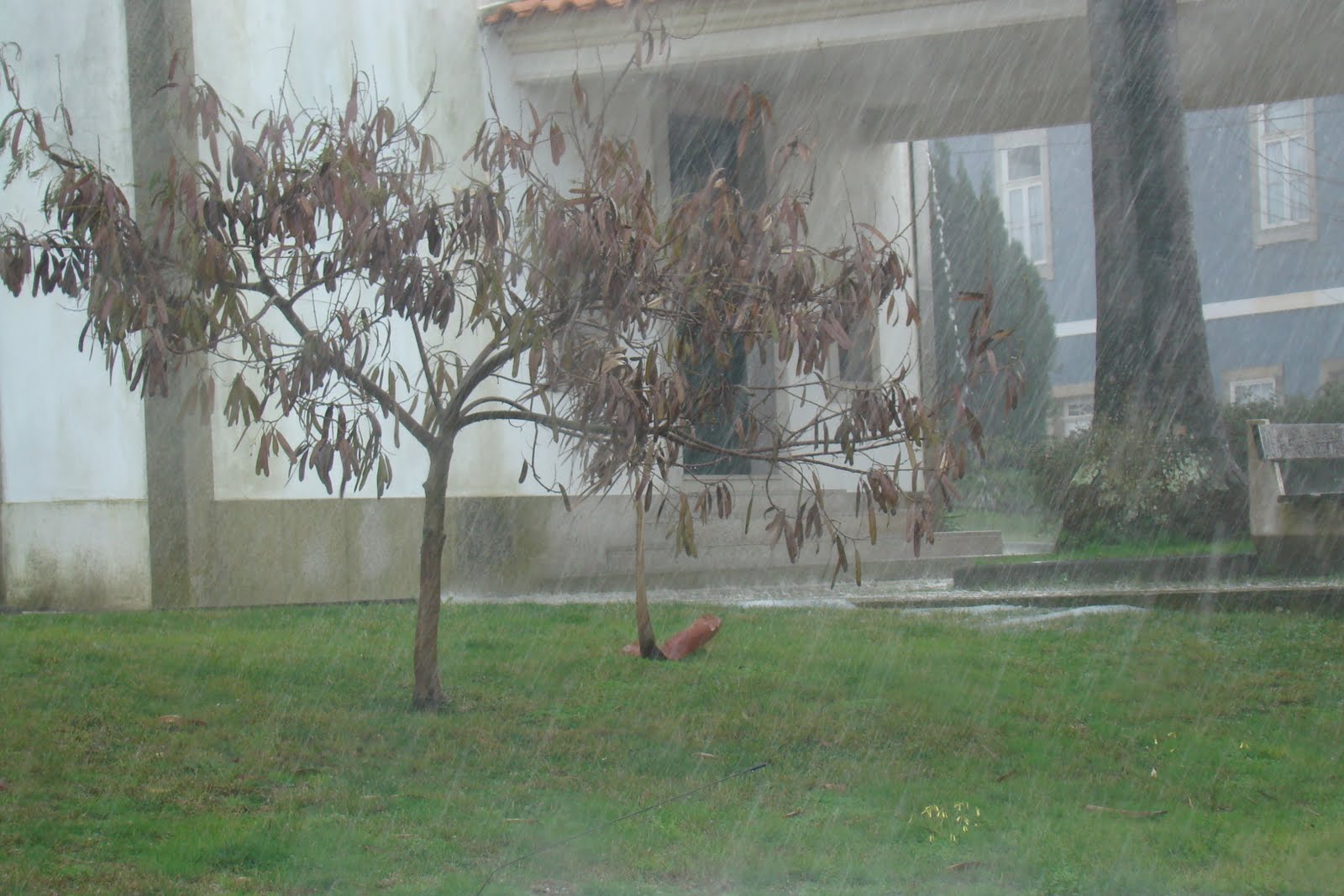 [DSC03701.JPG]