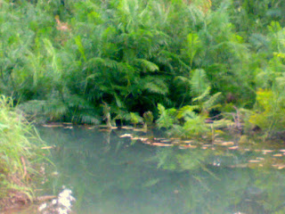 small lake small lake
