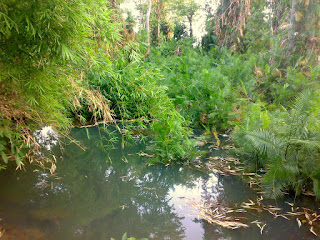 Bentjharan spring water lake