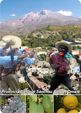 Sanchez Cerro  - Omate
