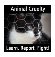 Fight Animal Abuse