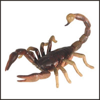 Avatare scorpioni messenger