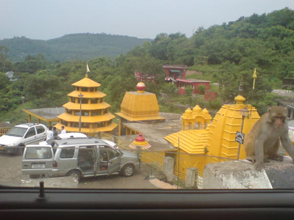 Bagla Mukhi temple