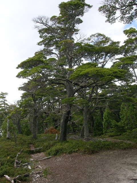 [DSCN2213_web.JPG]