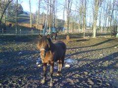 [DSC00823.JPG]