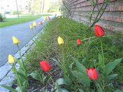 [DSC00052+(WinCE).JPG]