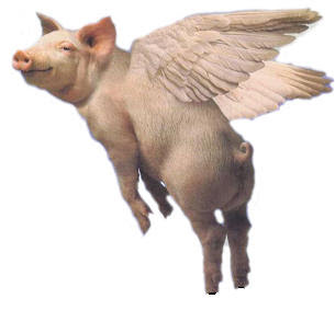 I have the swine flu