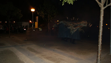 ESPECTACLE DE FOC