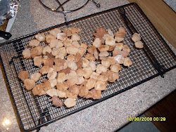 A fresh batch of dog cookies