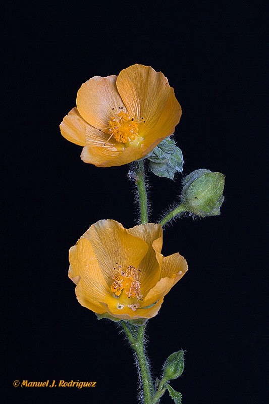 [AFIRM.DE+PODER+7.jpg]