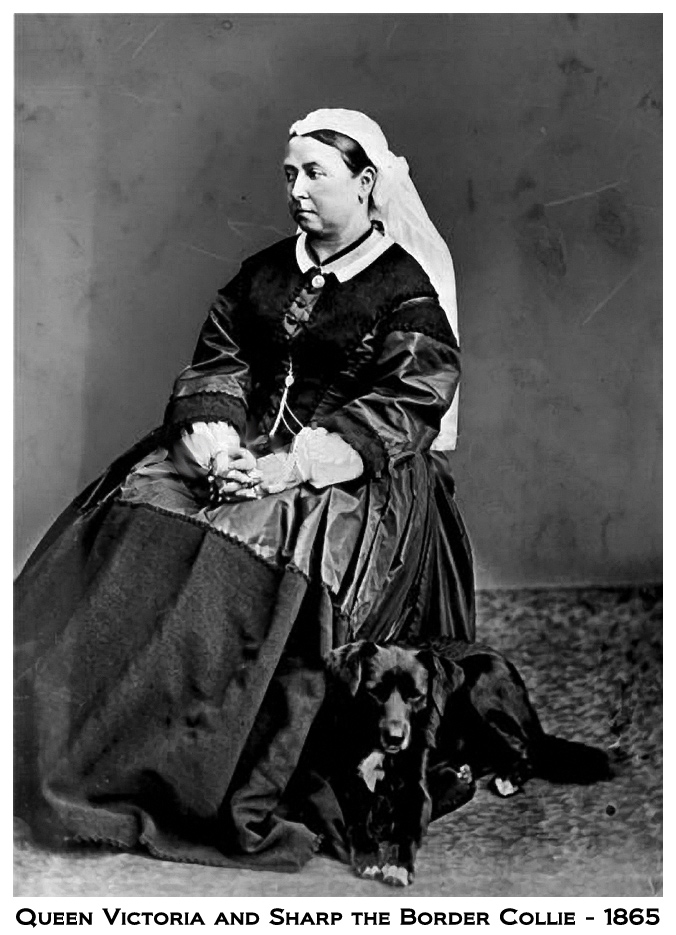 [Queen-Victoria-and-Sharp-border-collie-1865-large.jpg]