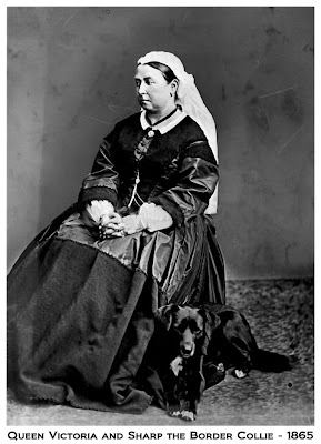 Queen Victoria and Sharp border collie 1865 large
