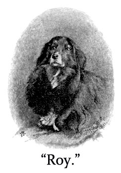 [Queen_Victoria_Border_Collie_Roy.jpg]