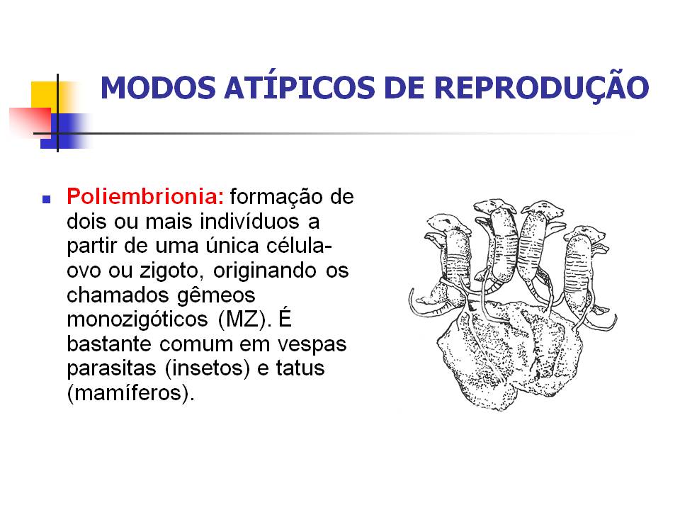 [Slide30.JPG]