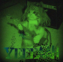 ¿Qué hacen los gatos por la noche? =O (Natalia)