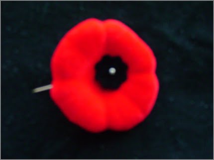 Canada Observes the Remembrance Day Today