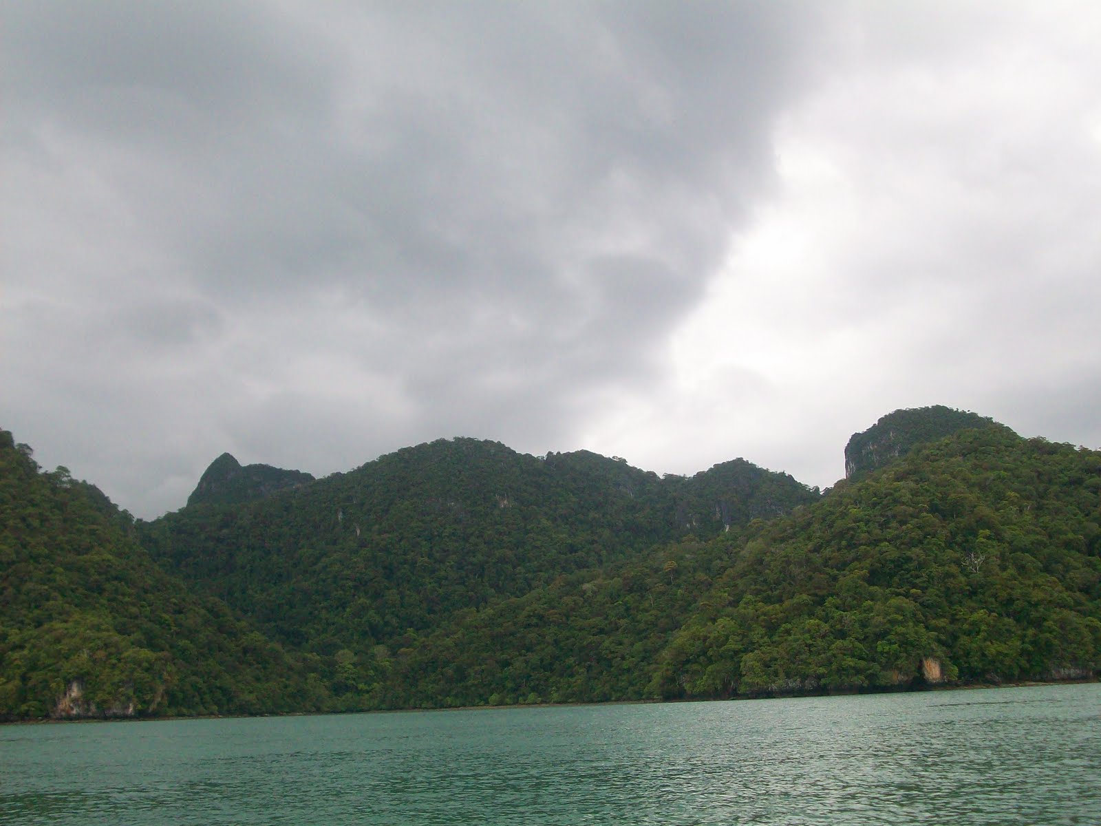 Jun Yuan's Story 12/01/2009 01/01/2010